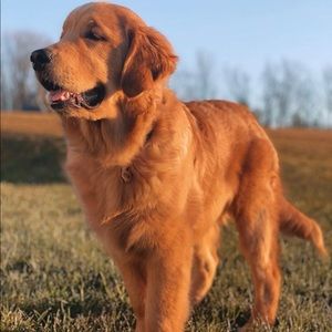 Meet your Posher, Paul